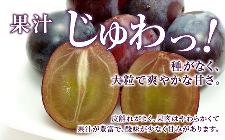 先行予約 あづましずく 約1kg ぶどう 果物 フルーツ 福島県 田村市 