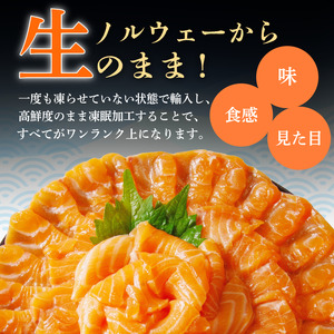 アトランティックサーモン 計900g 冷凍 サーモン 刺し身