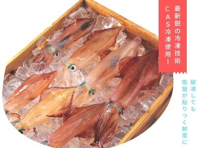 【高級白いか丸ごと 130g×3杯セット】ぷりぷり甘い高級白いかを朝どれ鮮度でお送りします! いか イカ 白いか ケンサキイカ 刺身 CAS CAS冷凍 父の日 母の日 バーベキュー ギフト