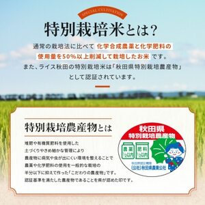 【無洗米】大潟村産あきたこまち特別栽培米10kg 【令和7年産】【配送不可地域：離島・沖縄県】【1419732】