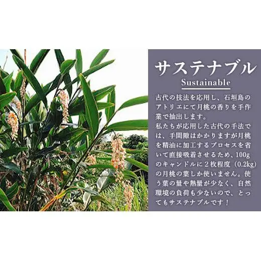 100%⽯垣島の⽉桃の⾹りで作ったアロマキャンドル MU-1 