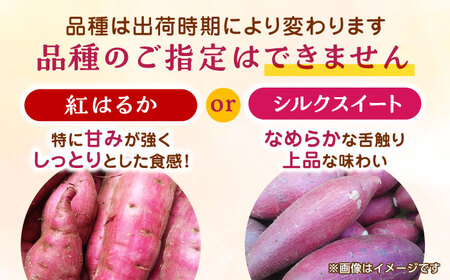 紅はるかorシルクスイート蜜芋10kg サツマイモさつまいも国産 ZCN001