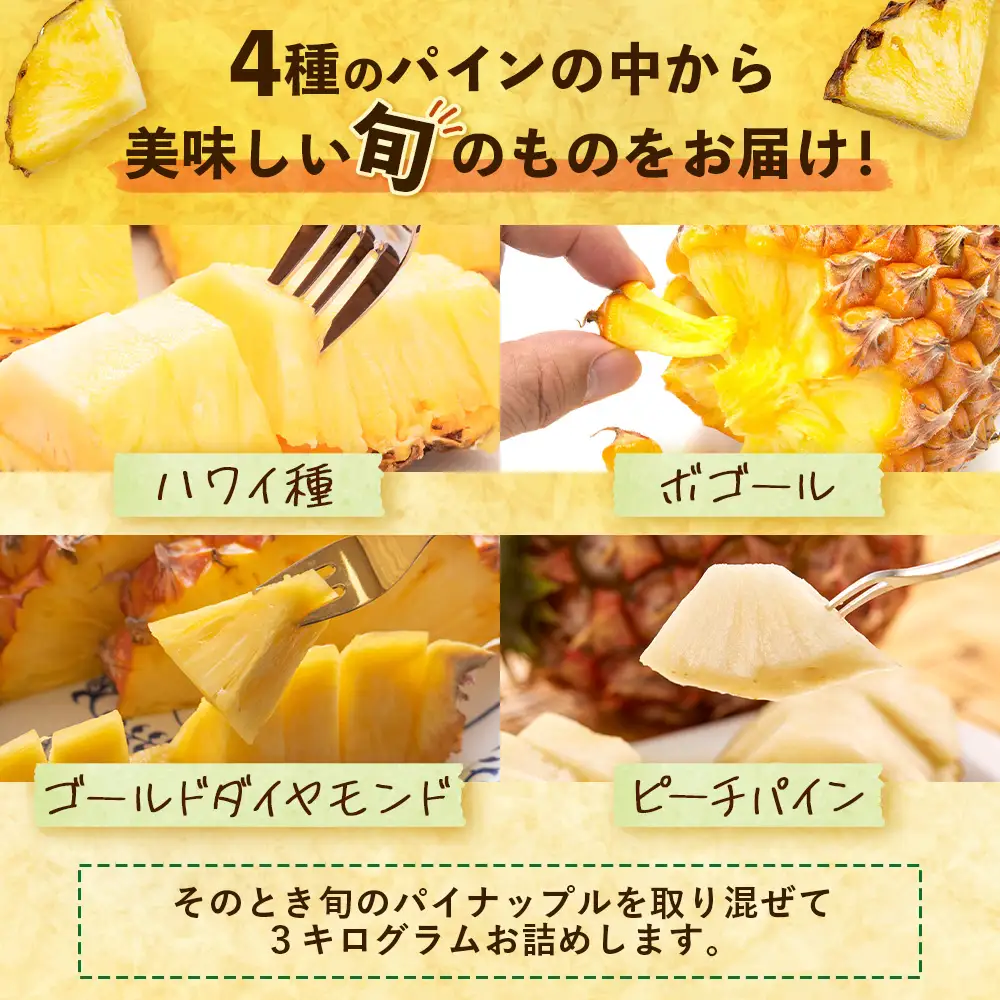 【先行予約・数量限定！】国産パイナップル　約3ｋg（3～5玉）～なか農園おまかせセット～ NK-001 ｜パイナップル パイン フルーツ 果物 くだもの 先行予約 数量限定 産地直送 新鮮 旬 ハワイ種 ピーチパイン ゴールドダイヤモンド ボゴール なか農園 鹿児島県 南大隅 
