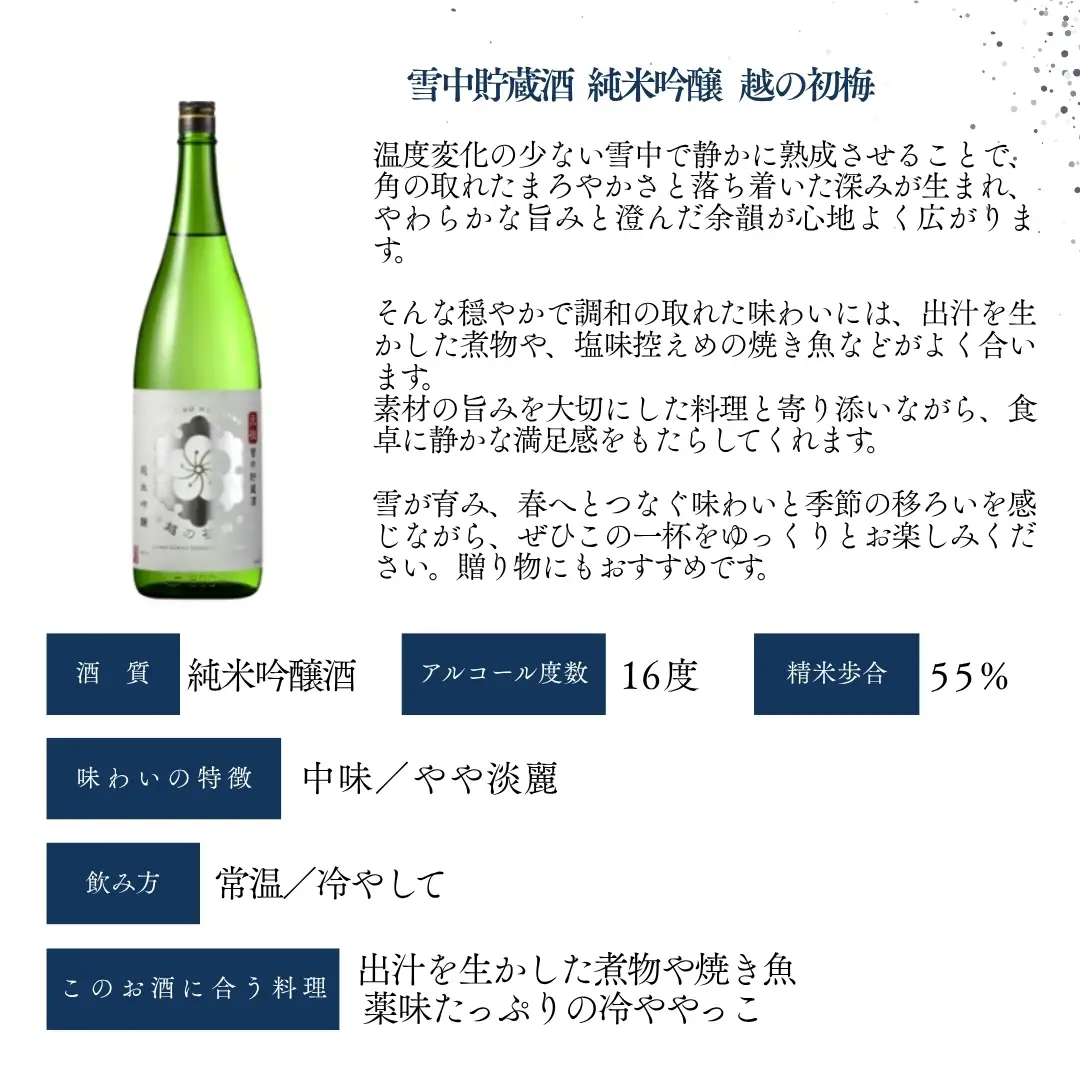 日本酒 純米吟醸 越の初梅 雪中貯蔵酒 720ml×2本 雪国でしか味わえない極上酒 新潟県 小千谷市