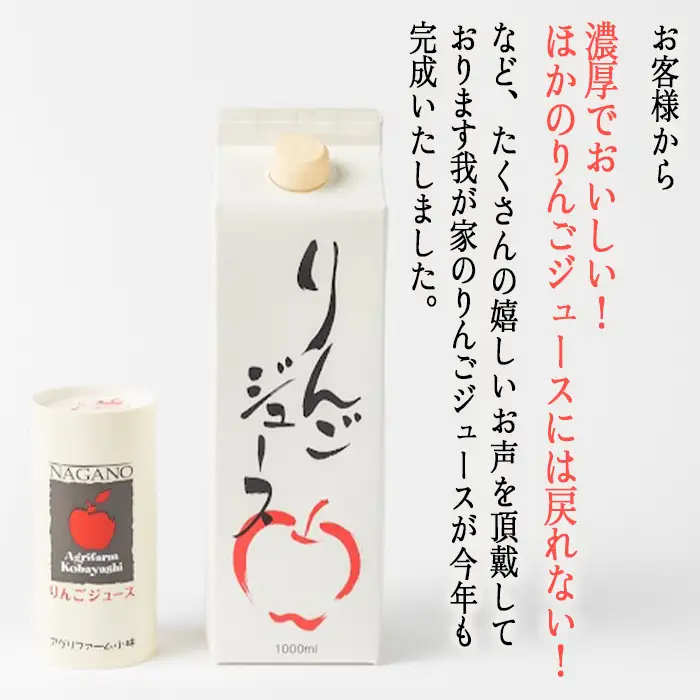 りんごジュース 1000ml × 12本 無添加 酸化防止剤不使用 果汁100% 紙パック アグリファーム小林 信州の環境にやさしい農産物認証 飲料 果汁飲料 りんご リンゴ 林檎 ジュース 信州 農家直送 長野県 飯綱町 [1697]