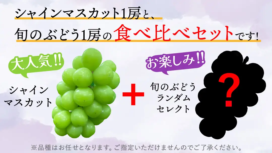 ぶどう食べ比べ 2房（約1kg）旬のぶどう＆シャインマスカット 【2026年9月下旬発送開始】 (DH005)