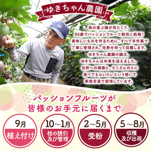 パッションフルーツ 1.2kg以上  期間限定 ゆきちゃん農園 0105302a パッションフルーツ 果物 くだもの
