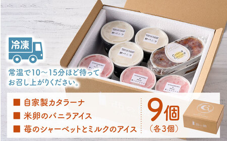 【こだわり濃厚米卵と地元特産フルーツ使用！】こめたまバラエティセット３種９個入り デザート スイーツ お菓子 アイス ギフト  【氷窯アイス こめたま】[GF02]