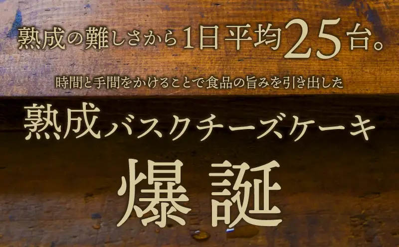 熟成と非熟成バスクチーズケーキ食べ比べセット_H0041-101