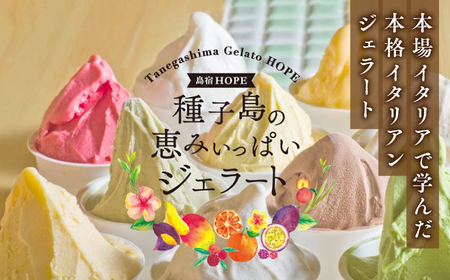恵みジェラート6個セット【種子島ジェラートＨＯＰＥ】