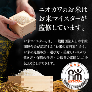 最短出荷 2日から7日以内に発送 コシヒカリ 乾式無洗米 10kg（5kg×2）令和7年産 お米 精米 ご飯 美味しい 粘り つやつや 甘み 