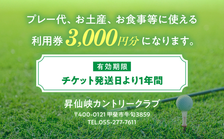 昇仙峡カントリークラブ ゴルフ施設利用券A 3,000円分 山梨 ゴルフプレー券