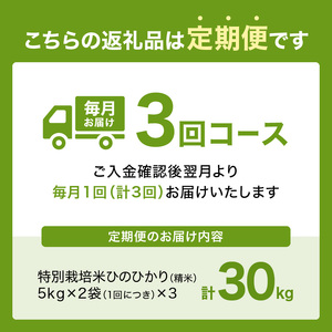 【定期便3か月】お米30kg（10kg×3回）特別栽培米 ひのひかり 053-29