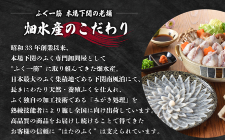 【ふぐ刺し鍋 セット】 3-4人前 冷凍 ふぐ ID