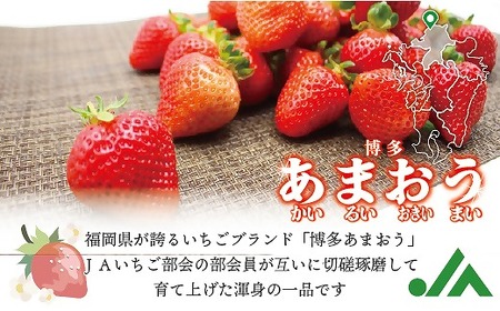 【2027年3月より順次発送】食べきりサイズ！博多あまおう4パック　約720g（2L～Lサイズ）[H2318]