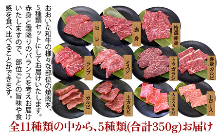 【訳あり 焼肉】おおいた和牛 食べ比べ焼肉 5種セット | 津久見市