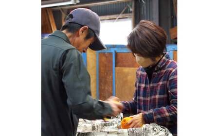 不知火 ( しらぬい ） 3kg 家庭用 (大好きしらぬい)　/ デコポン 甘い 和歌山 有田 柑橘 産地直送 農家直送 手選果 ※2027年2月中旬～3月下旬に順次発送予定  【nkh010-c-3A】