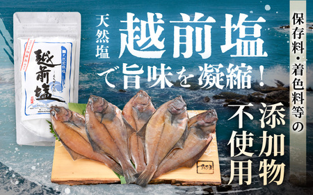  干物 セット 赤がれい 一塩干し 大サイズ （1尾 × 5パック入り）1尾約170g【福井県産 赤カレイ 小分け 個包装 詰め合わせ 保存料・着色料 無添加】 [e04-a092]