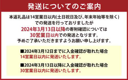 熊本県産 三十一雑穀米 3kg (500g×6) 阿蘇だわら お米 雑穀米 熊本県 高森町 国産 米