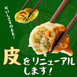【大阪名物】大阪ふくちぁん野菜餃子 冷凍生餃子 108個 ［36個入×3セット］