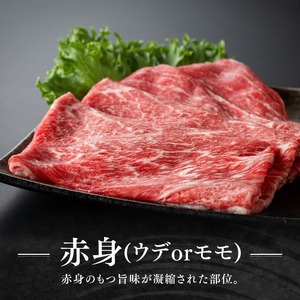 【令和8年6月発送】宮崎牛赤身(ウデorモモ)霜降りすきしゃぶ2種400g 【 肉 牛肉 国産 宮崎県産 黒毛和牛 和牛 すき焼き スキヤキ しゃぶしゃぶ 】