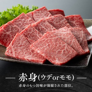 【令和8年7月発送】宮崎牛赤身(ウデorモモ)霜降り焼肉2種400g【肉 牛肉 牛 国産 宮崎県産 黒毛和牛 牛 和牛 焼肉 牛 やきにく BBQ 4等級  A4ランク うで モモ 肩ロース ロース 】