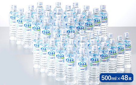 3回定期便【ブルボン】山形県 天然名水 出羽三山の水 500ml×48本 F2Y-5541