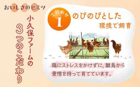 小久保ファーム　濃厚卵黄　産みたてたまご　赤玉30個入り（M玉） _EI01
