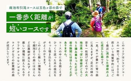 2025・26年度シーズン 乗鞍山麓 秘境「五色ヶ原の森」トレッキング ショートコース「雌池布引滝コース（所要2時間）」大人2名分 | 観光 森 自然 ガイド 案内 ツアー トレッキング 飛騨高山 乗鞍山麓五色ヶ原の森 MK005