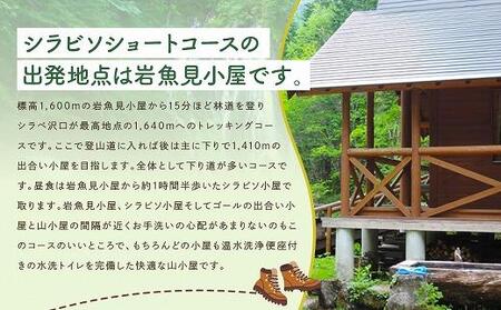 2025・26年度シーズン 乗鞍山麓 秘境「五色ヶ原の森」トレッキングショートコース「シラビソショートコース（所要4時間半）」大人3名分 | 観光 森 自然 ガイド 案内 ツアー トレッキング 飛騨高山 乗鞍山麓五色ヶ原の森 MK006