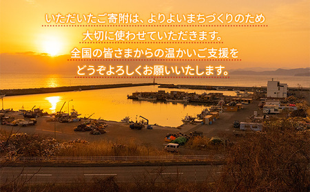 洞爺湖町 寄附のみの応援受付 3,000円コース（返礼品なし 寄附のみ 3000円） 支援 自治体支援 お礼の品なし 北海道 洞爺湖町の発展 ふるさと応援 ふるさと支援 