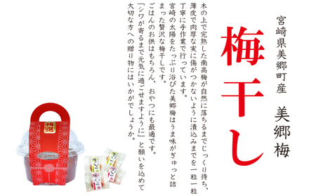 梅 南高梅 美郷梅使用 梅干し 昆布 シソ 風味 セット 3L サイズ 200g ×2 [春夏秋冬いっつもや 宮崎県 美郷町 31ab0111]