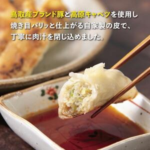 鳥取餃子 鳥取県産ブランド豚使用 60個セット (30個入り×2パック)