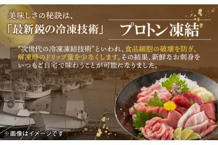 本まぐろ 赤身 300g お刺身やまぐろ丼に [A-107004]