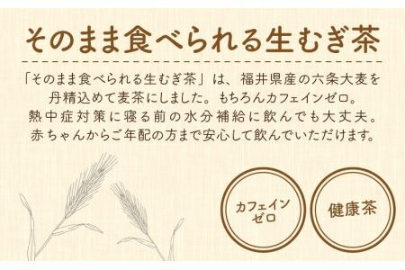福井産六条大麦そのまま食べられる麦茶とおおむぎママの麦ストローR★環境配慮商品★ [A-034002] 