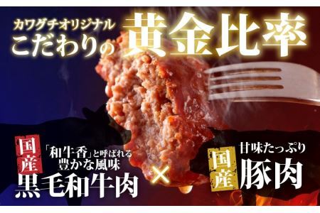 【お試し福袋】満腹1.0kg 黄金比率ハンバーグ4個 金賞メンチカツ4個 [A-015001] / ハンバーグ