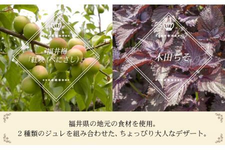 福井を味わう♪ 貴族プリン 6個セット[A-066002] プリン ジュレ デザート 濃厚 完熟 酸味 福井梅 紅映 べにさし 梅 紫蘇 木田ちそ
