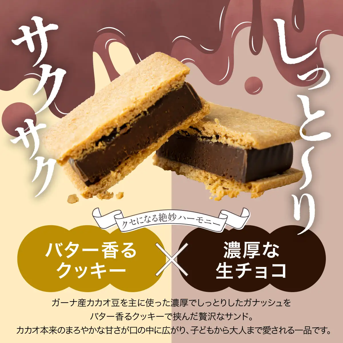 【チョコレート】【山奥チョコレート 日和】 生チョコサンド 10個入 [A-026001]