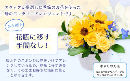 【先行予約】父の日 生花 フラワーアレンジメント メッセージカード 越前和紙 小花1輪付 【2026年6月発送】｜ 父の日 父の日 父の日 父の日  [e51-a007]