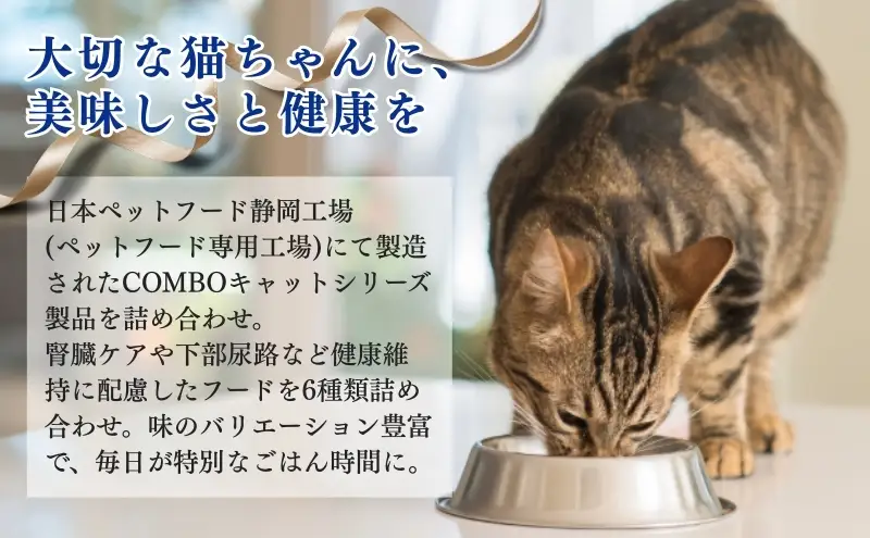 キャットフード コンボ 6種類 お試し セット 日本ペットフード 猫