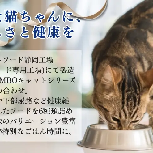 キャットフード：コンボ6種類アソート 日本ペットフード ネコ 猫 愛猫