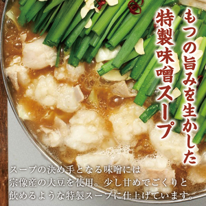 【ふるさと納税】「もつ2倍」博多もつ鍋(味噌味)3人前 [a9391] 株式会社 海千 ※配送不可：離島【返礼品】添田町 ふるさと納税