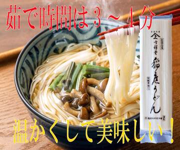 手造り稲庭うどん500g 5袋 （30人前セット） 稲庭うどん 稲庭うどん 【(株)稲庭吟祥堂本舗】[B5-0301]
