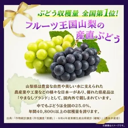 【2026年発送】山梨市産「巨峰(種なし)」詰め合わせ(約500g×3房)【配送不可地域：離島・沖縄県】【1117300】