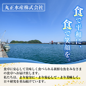 ＜訳あり＞国産特大あじの開き(計20枚以上)簡易包装 干物 アジ 魚介 水産加工品 開き おかず おつまみ 宮崎県 門川町【AW-22】【丸正水産】