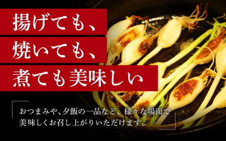 にんにくスプラウト 60個入り グリーンラボ近江 滋賀県 東近江市 A04 にんにく ニンニク 無臭 料理 食材 水耕栽培 野菜 天ぷら