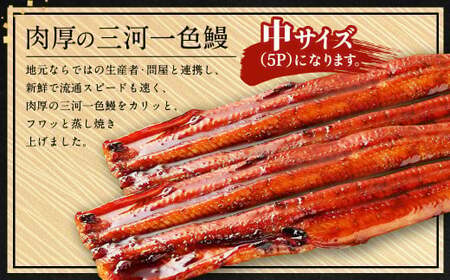 三河一色産 うなぎ蒲焼き 中3尾 うなぎ 鰻 かば焼き タレ付き セット 簡単調理 冷凍