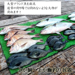 【釣り堀ハマカツ】1名釣り堀利用券(女性1名)【D0-043】