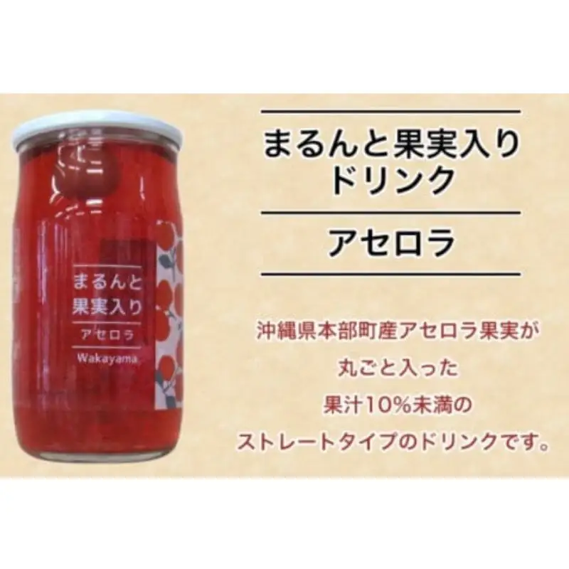 まるんと果実入りドリンク４種10本セット / 田辺市 ドリンク ジュース 果実ドリンク 梅ドリンク きんかんドリンク アセロラドリンク ブルーベリードリンク 梅 きんかん アセロラ ブルーベリー 和歌山県産 沖縄県産 ジュースセット【asr001】