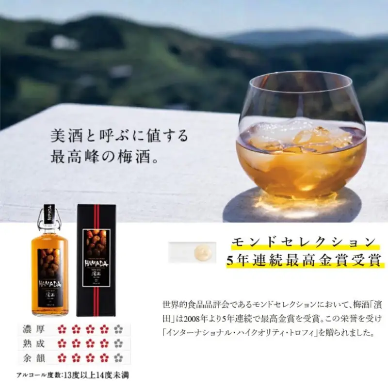 【五年熟成】梅酒濱田 HAMADA　750ml  13度/ 田辺市 梅干し 梅干 梅 うめ 梅酒 酒 紀州産 完熟梅 南高梅 金箔【isg019-1】